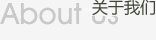 公司简介